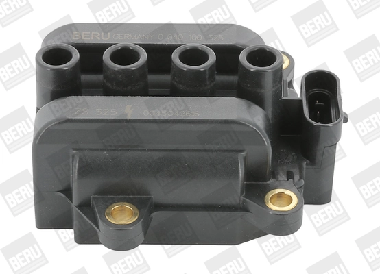 BorgWarner (BERU) Gelung pengapian ZS325