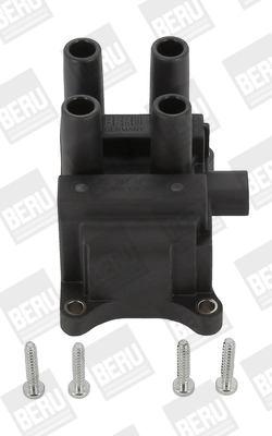 BorgWarner (BERU) Gelung Pencucuh ZS387