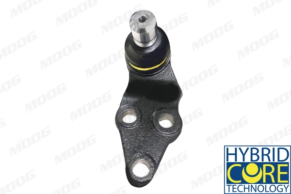 MOOG Giunto di supporto / guida VV-BJ-17455