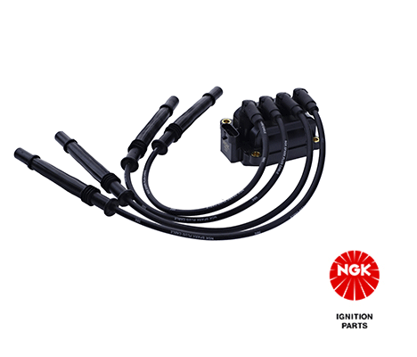 NGK Gelung Pencucuh 49075