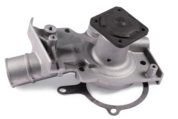 HEPU Pompa dell’acqua, raffreddamento motore P216