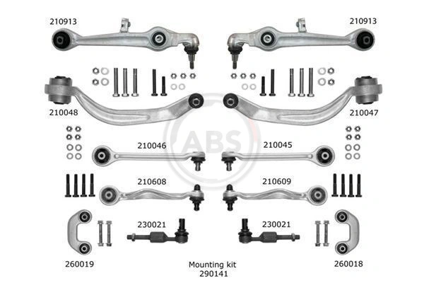 A.B.S. Kit riparazione, Braccio trasversale 219902