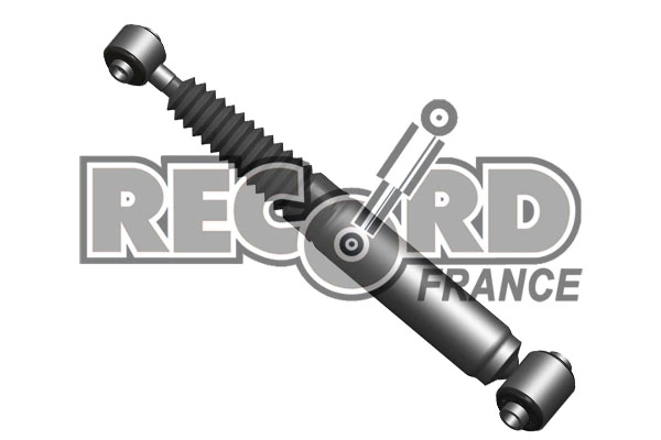 RECORD FRANCE Amortisör 004181