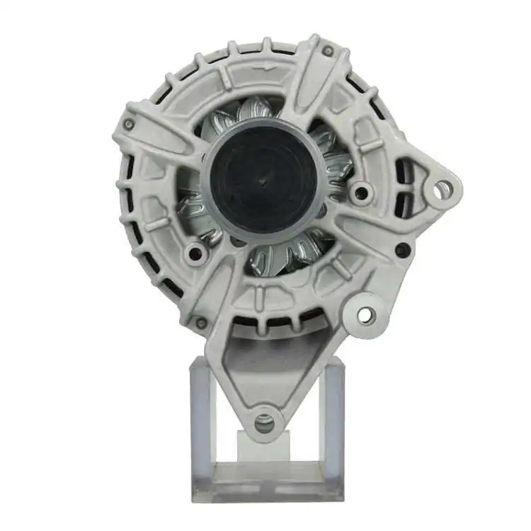 BV PSH Alternatore 555.943.190.010