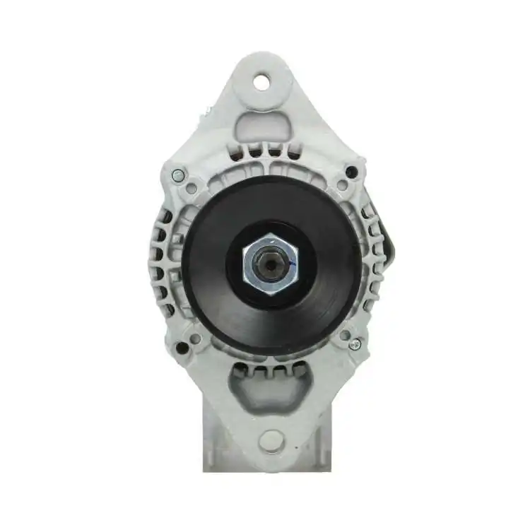 BV PSH Alternatore 985.503.040.050