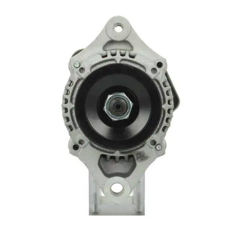 BV PSH Alternatore 695.509.040.050