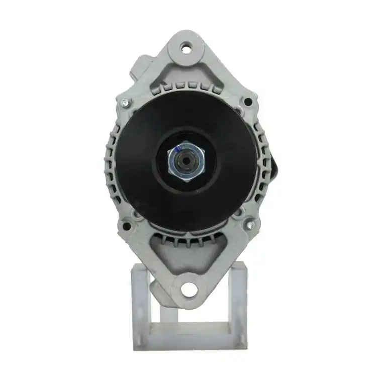 BV PSH Alternatore 635.505.060.050