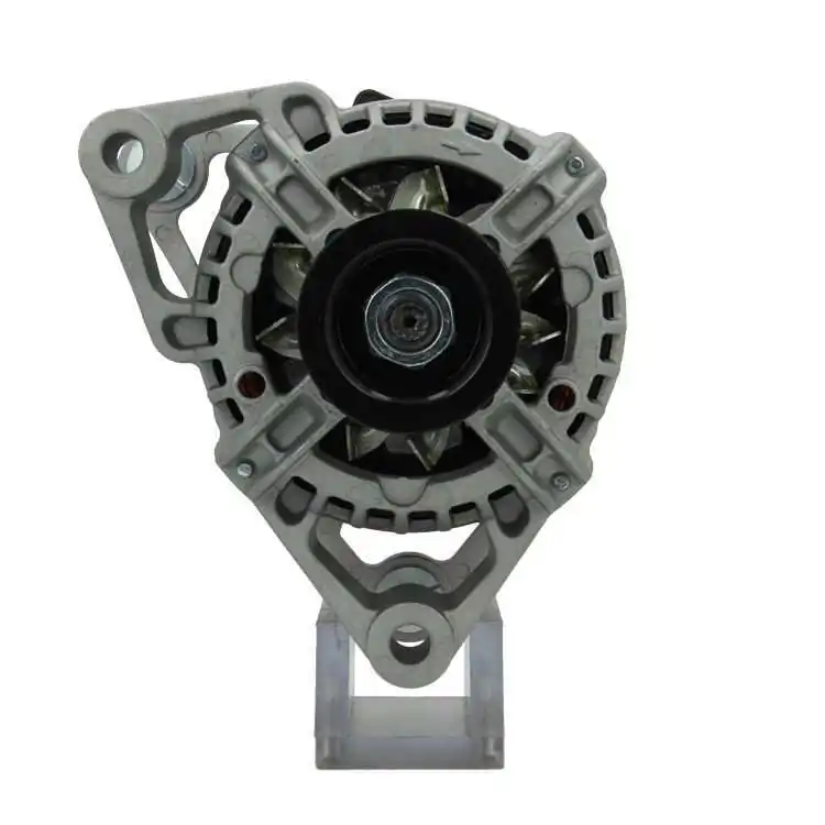 BV PSH 发电机 135.545.070.010