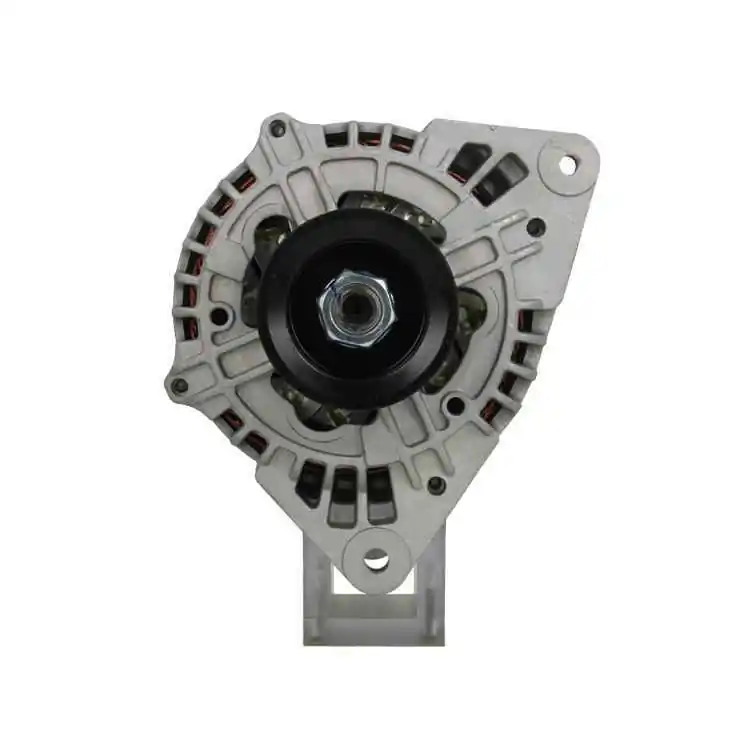 BV PSH 发电机 595.501.090.090