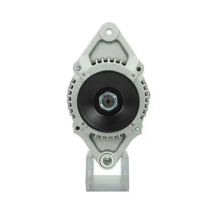 BV PSH Alternatore 195.581.055.050