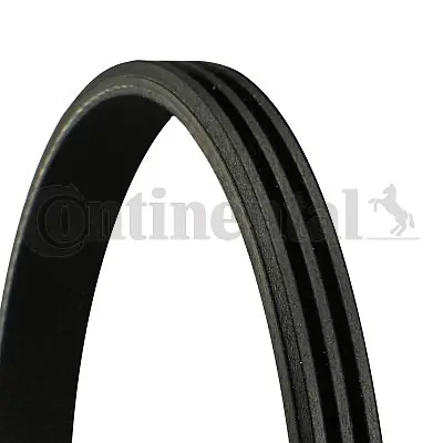 CONTINENTAL CTAM 3PK785