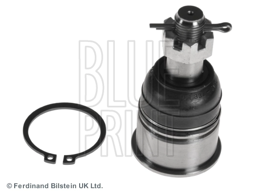 BLUE PRINT Sendi Bebola ADH286137