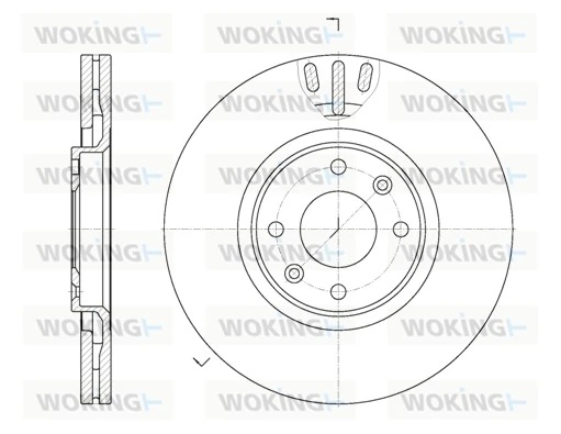 WOKING Fren diski D6657.10