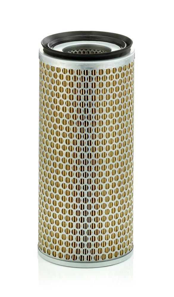 MANN-FILTER Filtro aria C 14 179/2