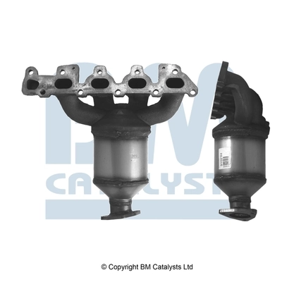 BM CATALYSTS BM91021H