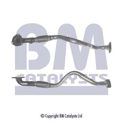 BM CATALYSTS Paip Ekzos BM50188