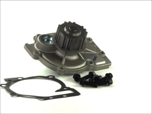 THERMOTEC Pompa dell’acqua, raffreddamento motore D1V013TT