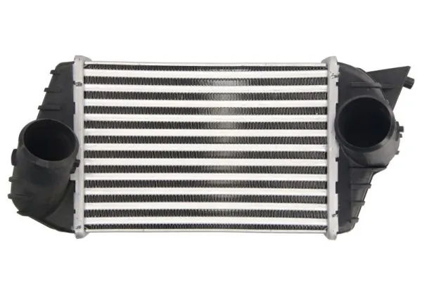 THERMOTEC 인터쿨러 DAF009TT