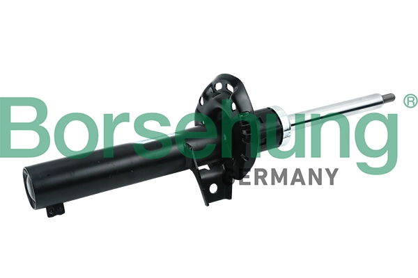 Borsehung Ammortizzatore B12132