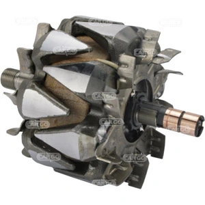 HC-Cargo Rotor, alternatör F032139447