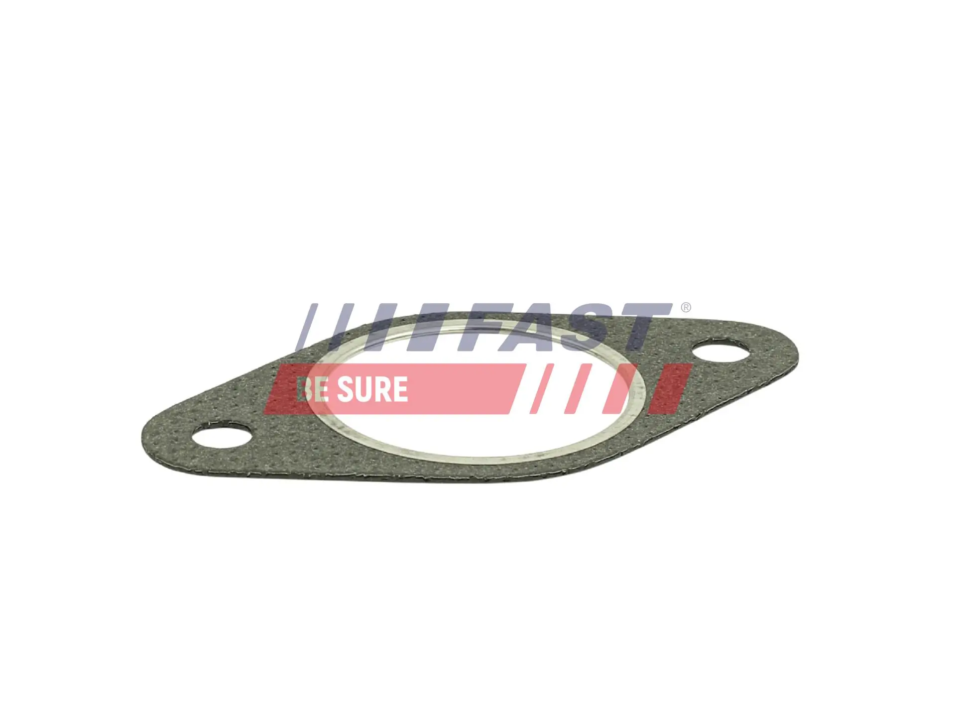 FAST Guarnizione, Tubo gas scarico FT84807