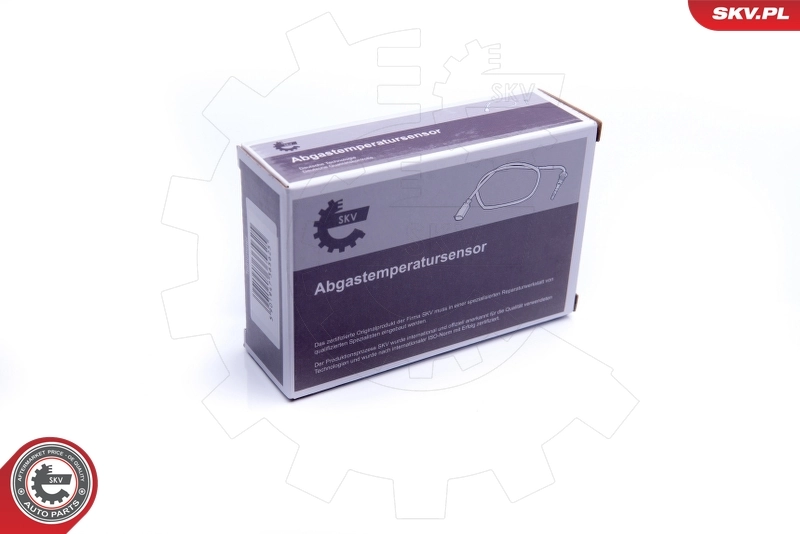 ESEN SKV Sensore, Temperatura gas scarico 30SKV003