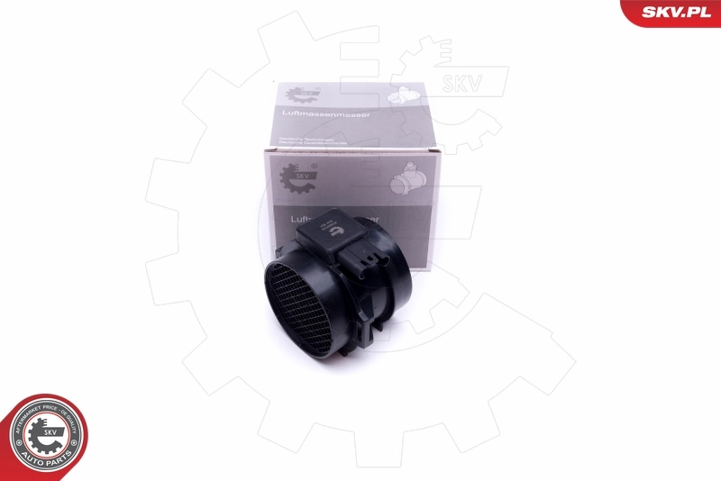 ESEN SKV 공기 유량계 07SKV170
