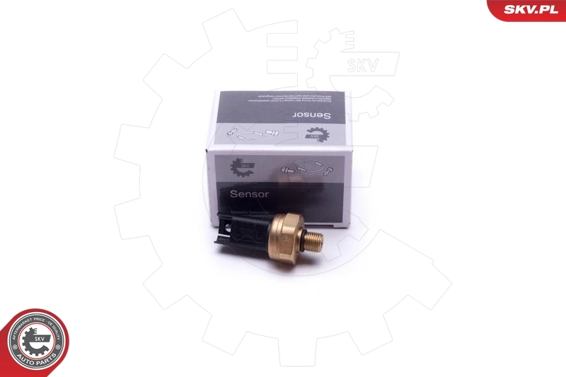 ESEN SKV Sensore, Pressione carburante 17SKV620