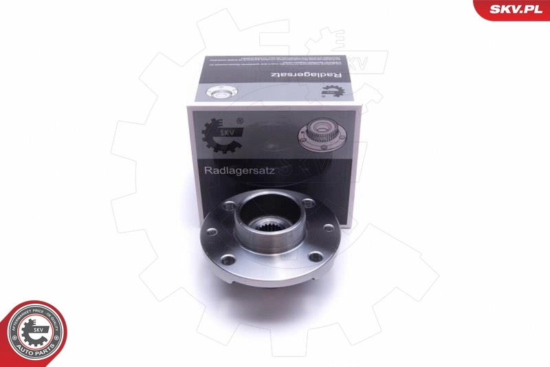 ESEN SKV Wheel Bearing Kit 29SKV523