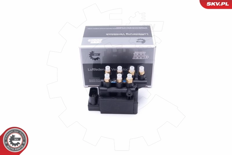 ESEN SKV Ventil, Druckluftanlage 93SKV809