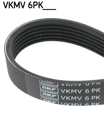 SKF V-벨트 프레임 VKMV 6PK1555
