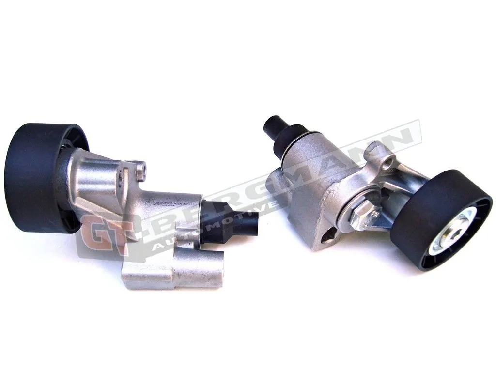 GT-BERGMANN شداد الحزام، السيور المضلعة GT51-024